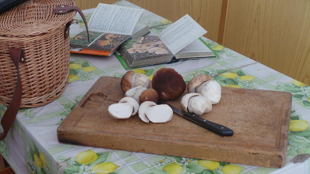 Albergo Antico Predazzo Εξωτερικό φωτογραφία